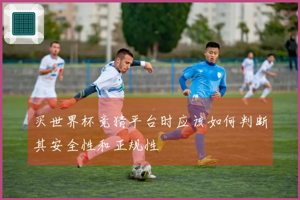买世界杯竞猜平台时应该如何判断其安全性和正规性