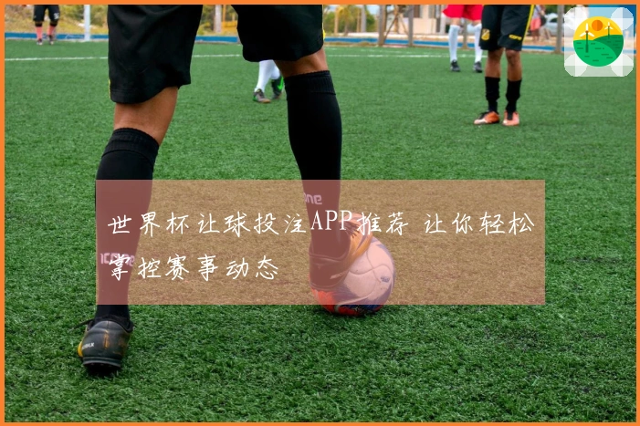 世界杯让球投注APP推荐 让你轻松掌控赛事动态
