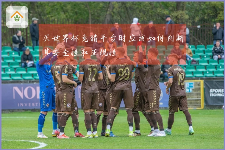 买世界杯竞猜平台时应该如何判断其安全性和正规性