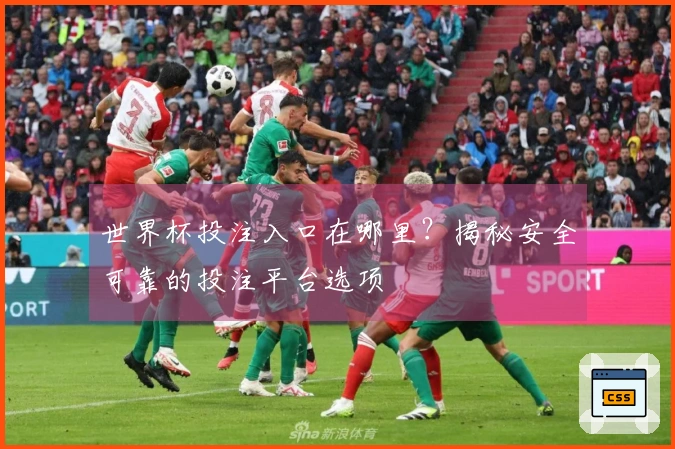 世界杯投注入口在哪里?揭秘安全可靠的投注平台选项