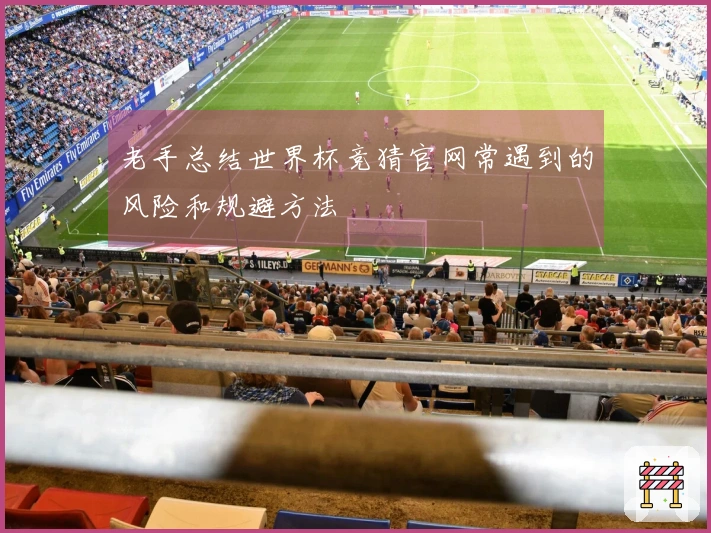 老手总结世界杯竞猜官网常遇到的风险和规避方法
