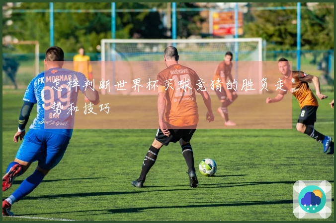怎样判断世界杯买球竞猜的胜负走势和技巧